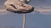玩家测出《只狼》巨型白蛇体长 仅模型可见部分至少465米..