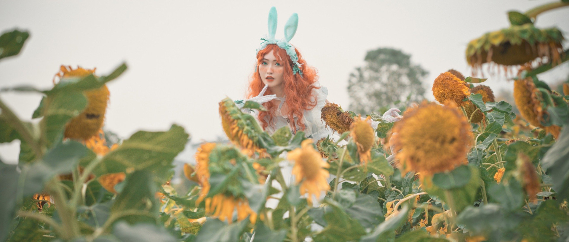 lolita私影，仙境中的小兔子-第7张