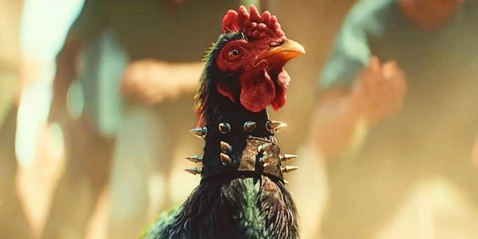 动物保护组织又来了  谴责《孤岛惊魂6》斗鸡游戏过于残忍