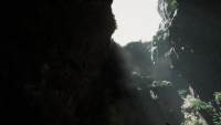 恐龙生存新作《本能》首个虚幻5视频公布展示游戏画面及拍照模式..