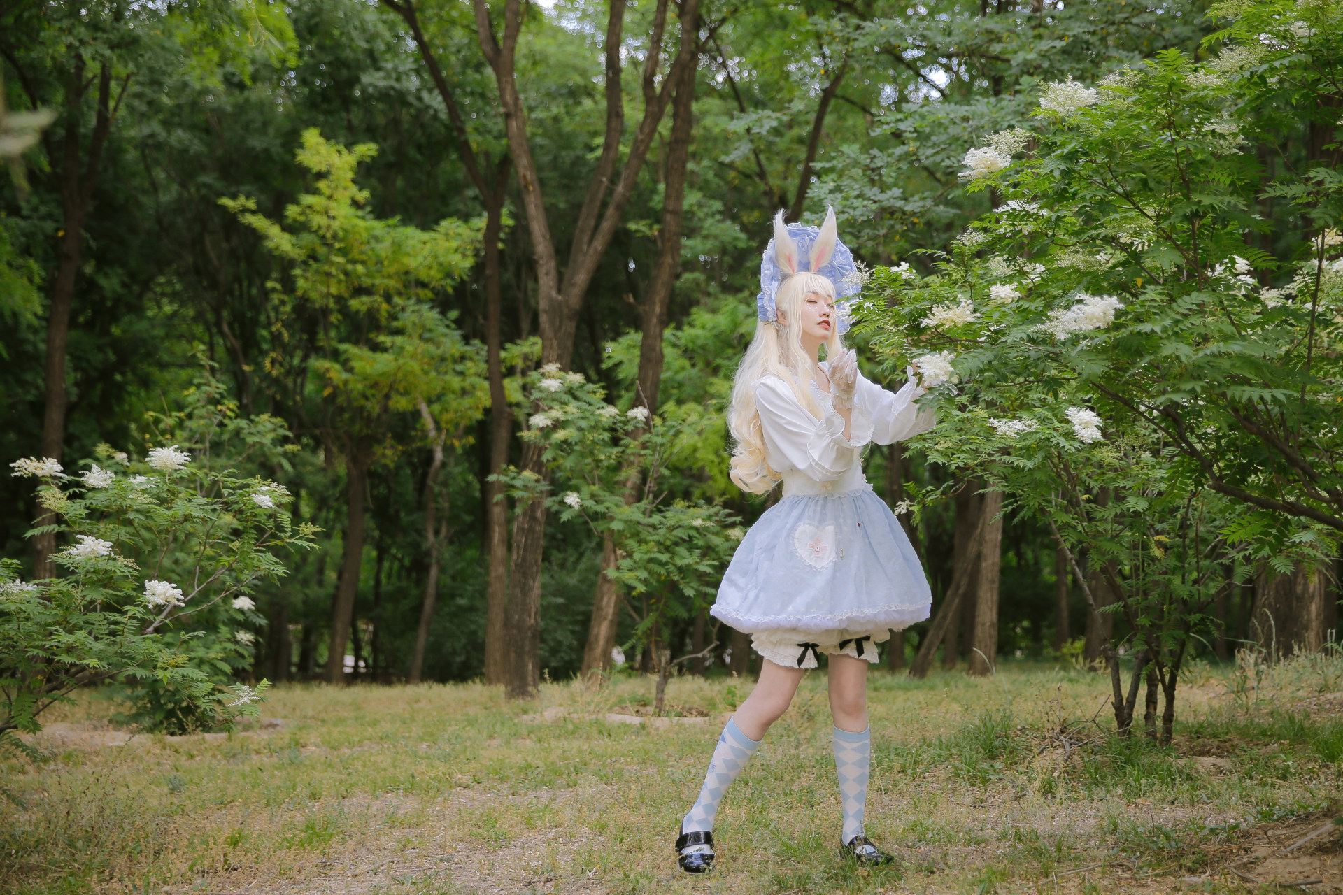爱丽丝兔子Lolita-第6张
